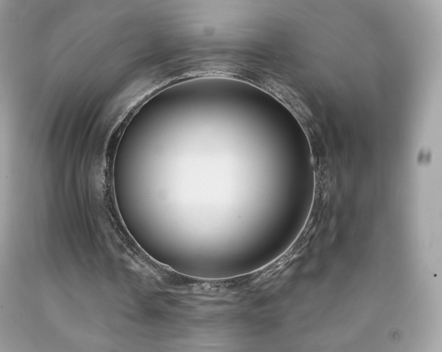 X0000091850338200709051151