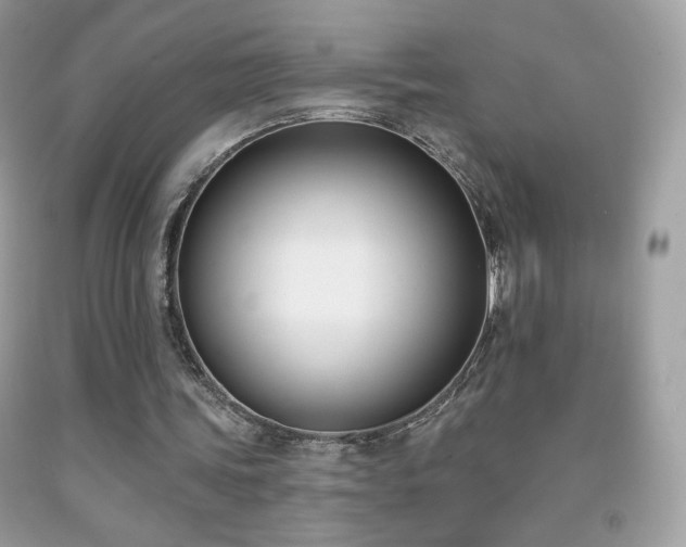 X0000091850339200709051151