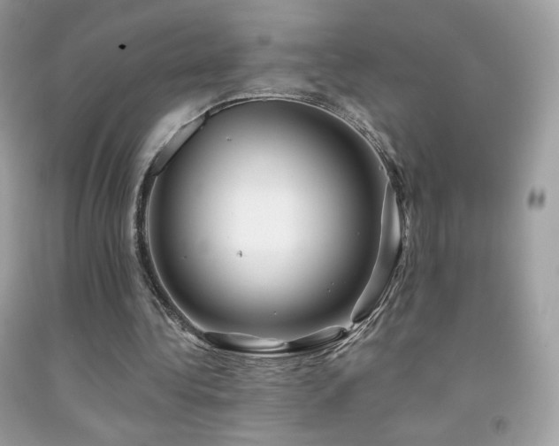X0000091850340200709051151