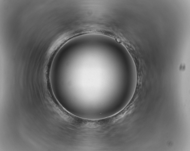 X0000091850341200709051151
