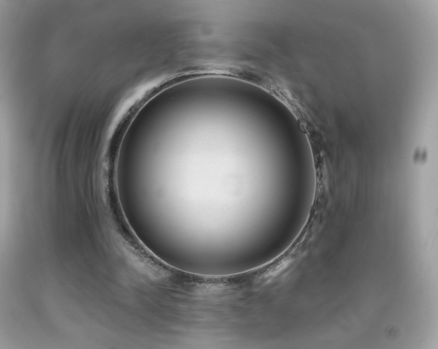 X0000091850342200709051151