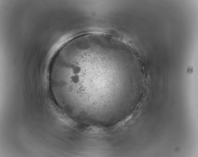 X0000091850343200709051151