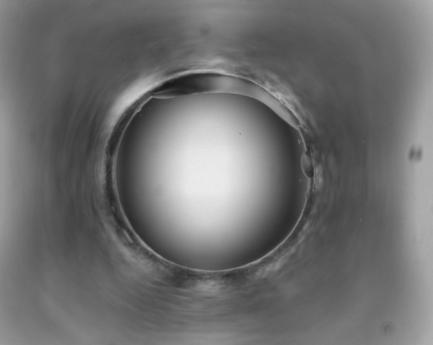 X0000091850344200709051151