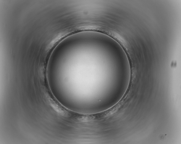 X0000091850345200709051151