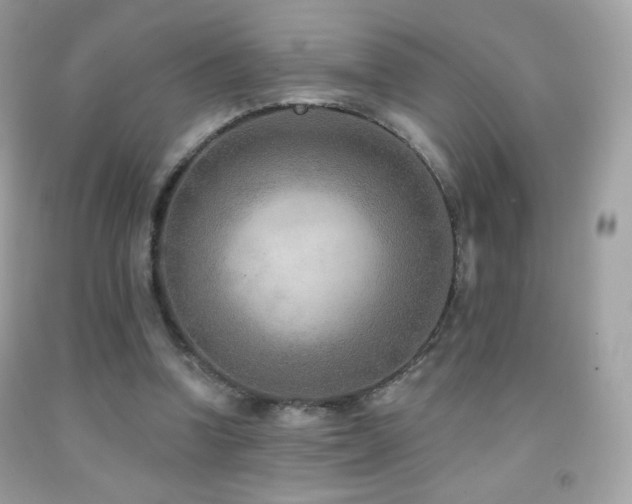 X0000091850346200709051151