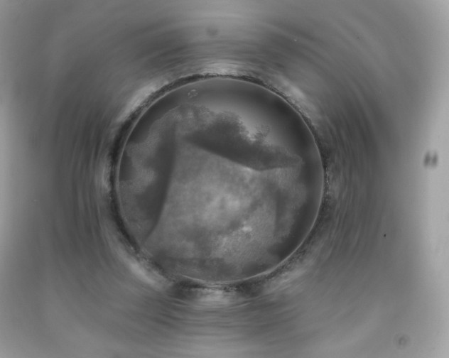 X0000091850347200709051151