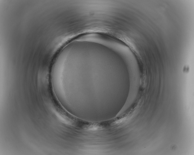 X0000091850348200709051151