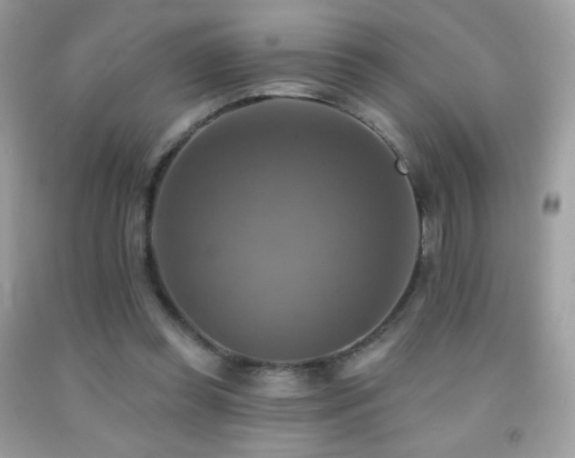 X0000091850349200709051151
