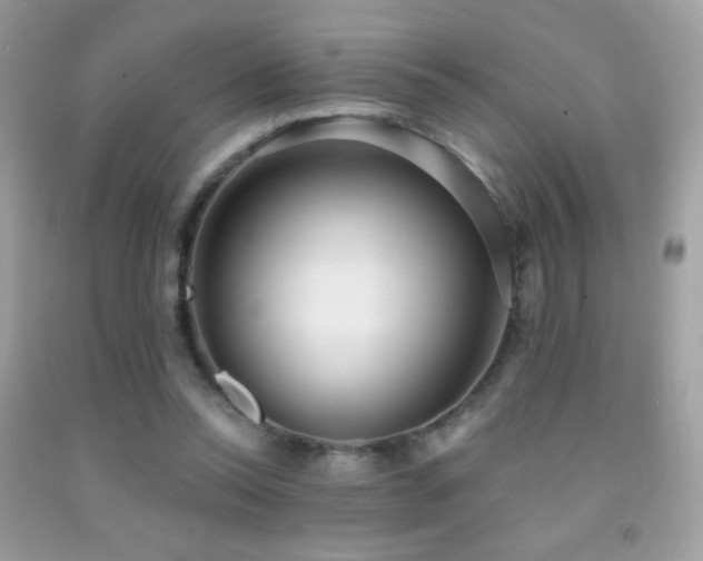 X0000091850350200709051151