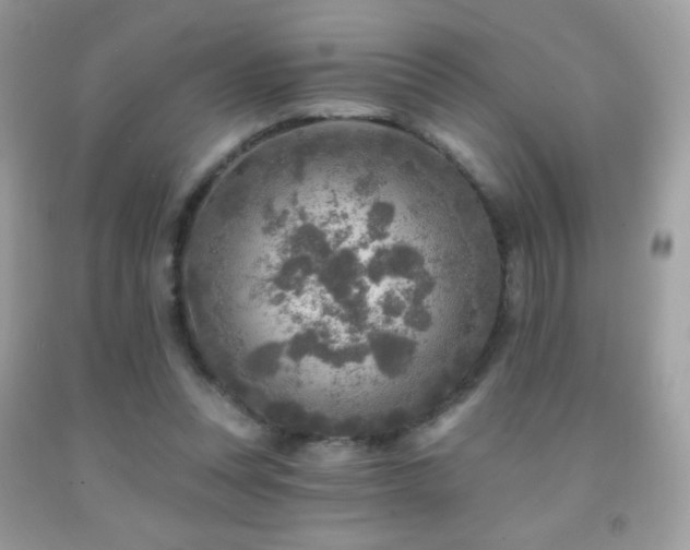 X0000091850351200709051151