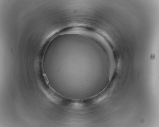 X0000091850352200709051151