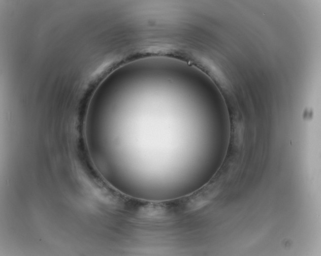 X0000091850354200709051151
