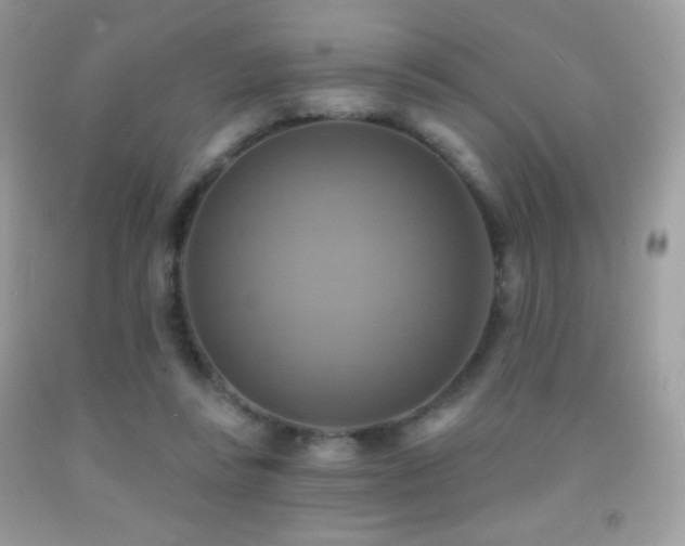 X0000091850355200709051151