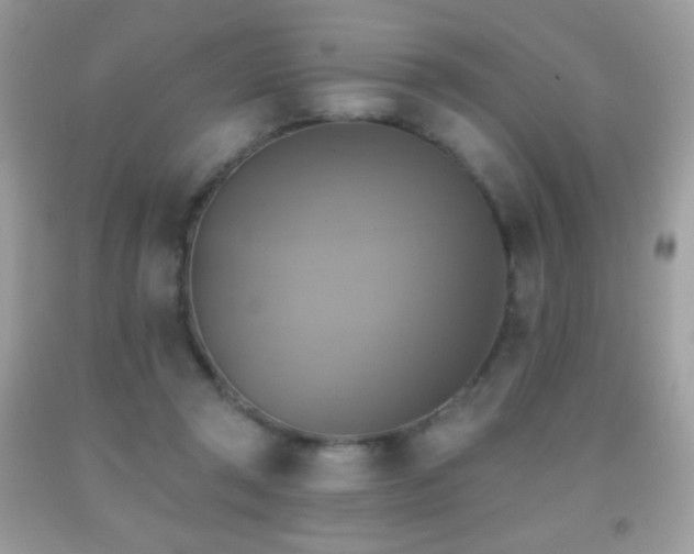 X0000091850357200709051151