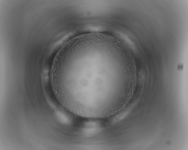 X0000091850358200709051151