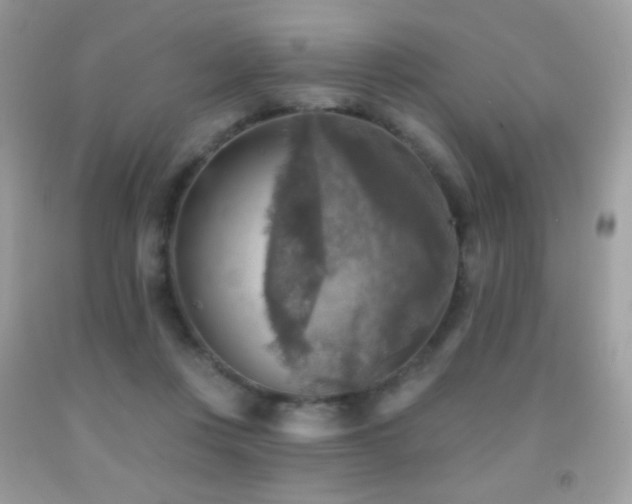 X0000091850359200709051151