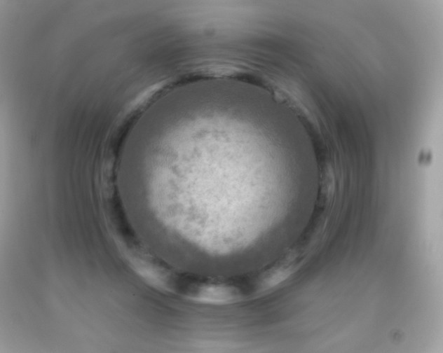 X0000091850360200709051151