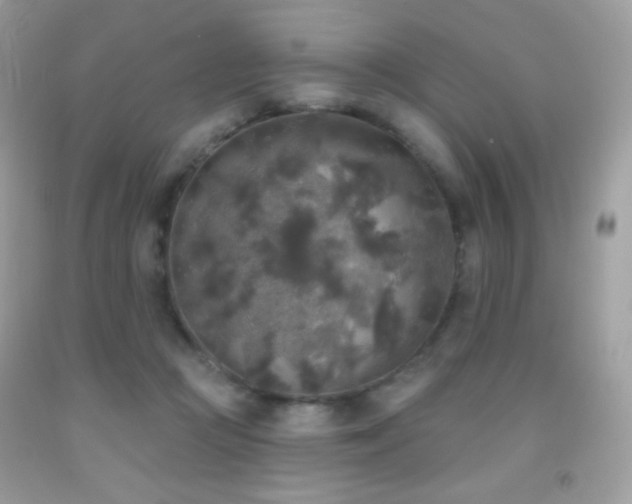 X0000091850361200709051151