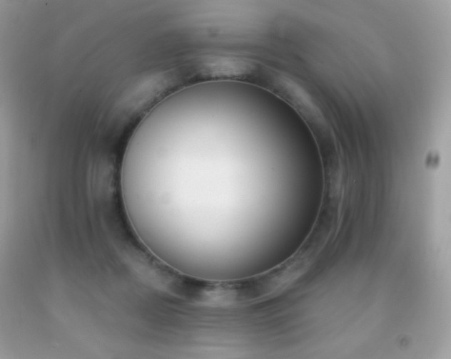 X0000091850362200709051151