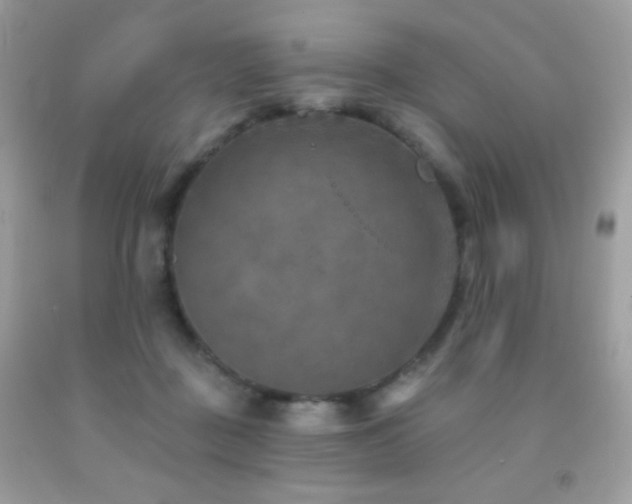 X0000091850363200709051151