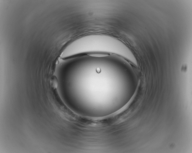 X0000091850364200709051151