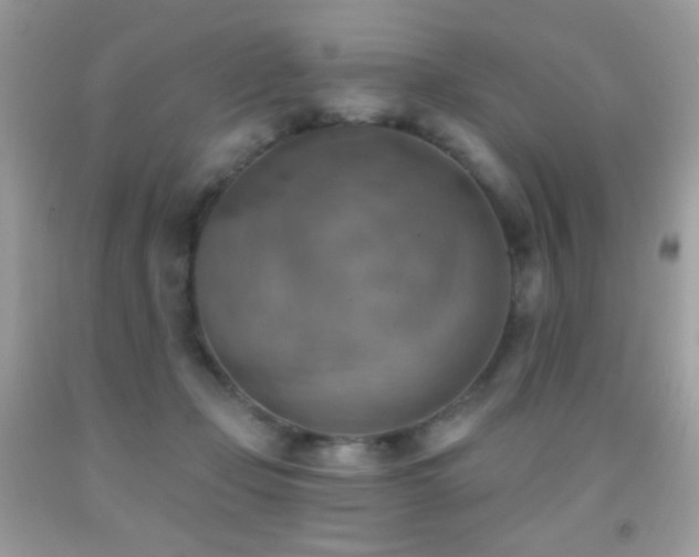 X0000091850365200709051151