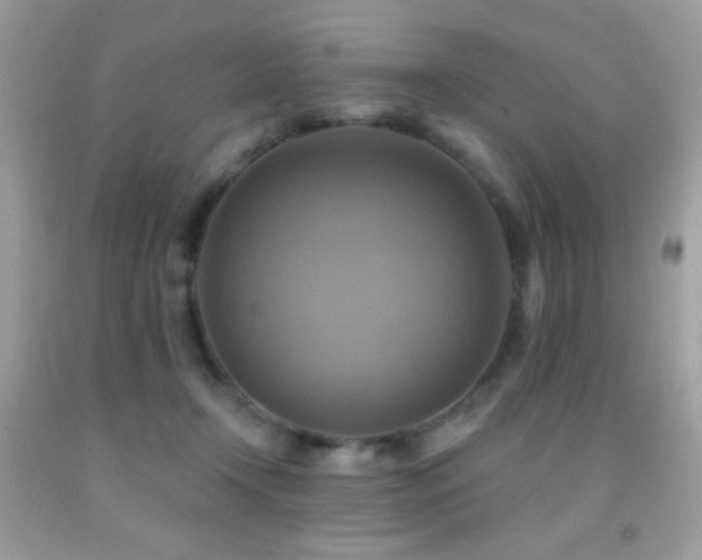 X0000091850366200709051151
