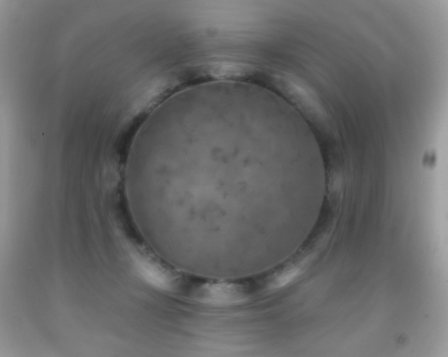 X0000091850367200709051151