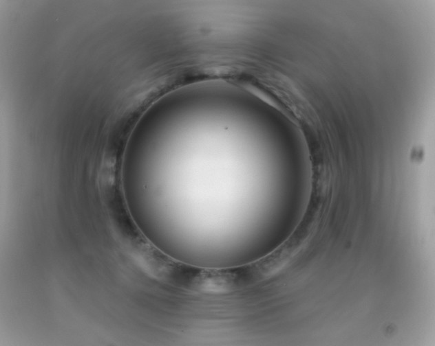 X0000091850368200709051151