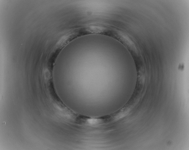 X0000091850371200709051151