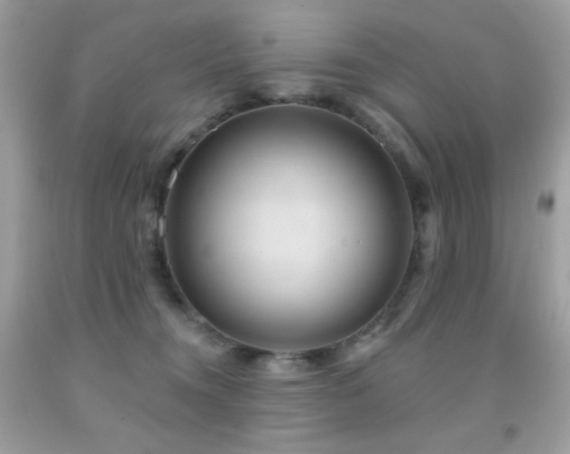 X0000091850372200709051151