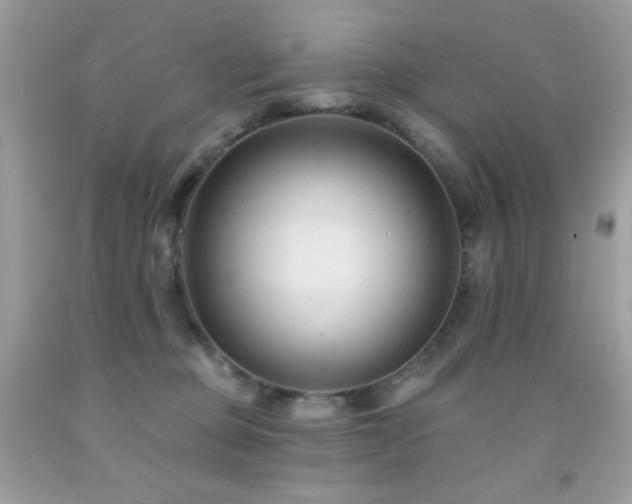 X0000091850373200709051151