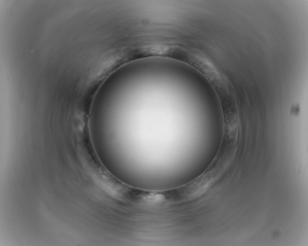 X0000091850374200709051151