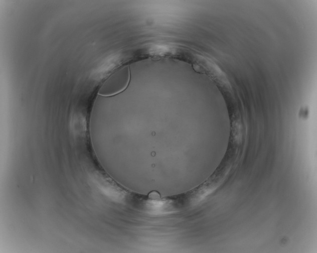 X0000091850375200709051151