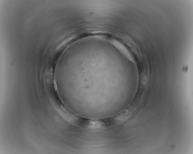 X0000091850376200709051151