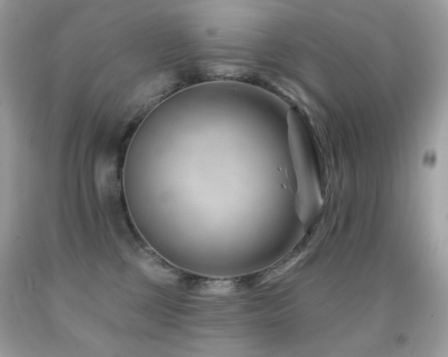 X0000091850377200709051151