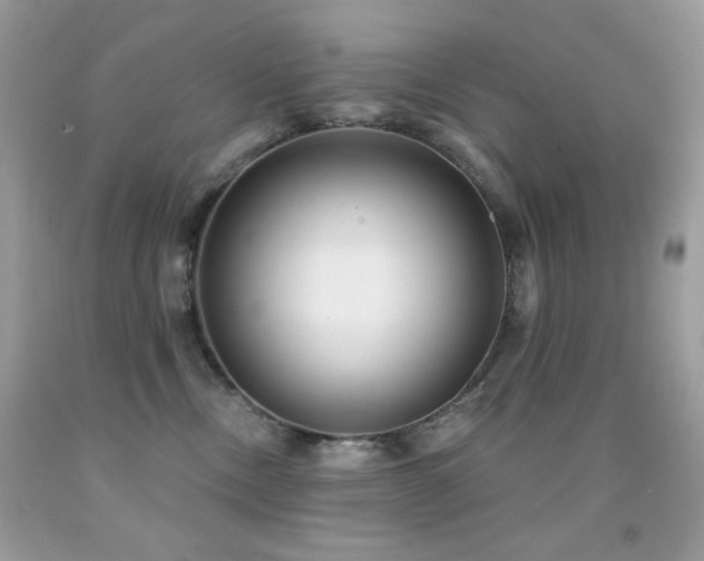 X0000091850378200709051151