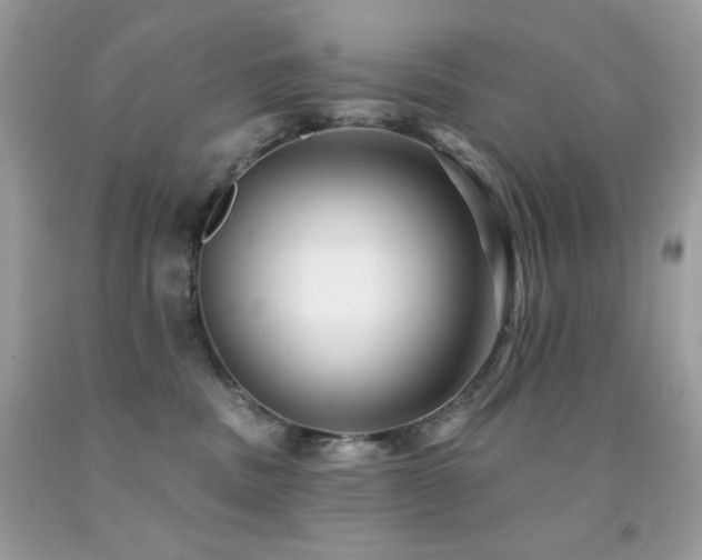 X0000091850379200709051151