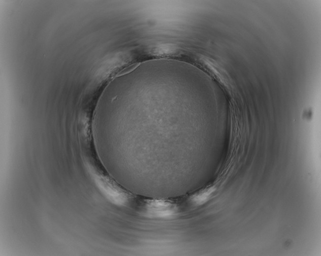 X0000091850380200709051151
