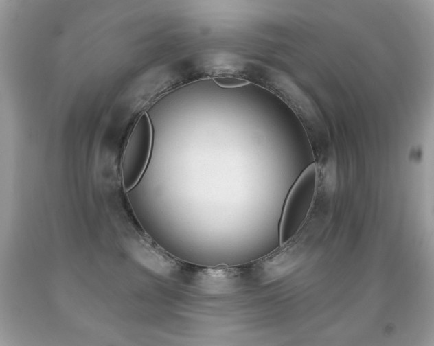 X0000091850381200709051151