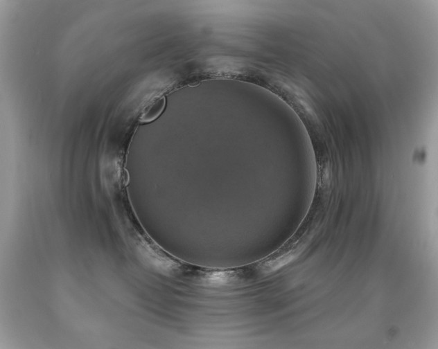 X0000091850382200709051151