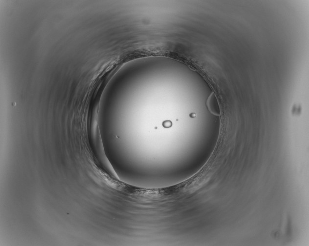 X0000091850384200709051152