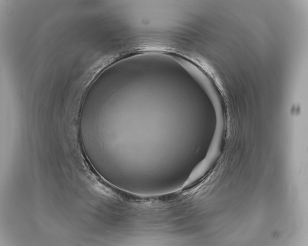 X0000091850385200709051151