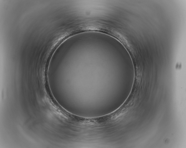 X0000091850386200709051151