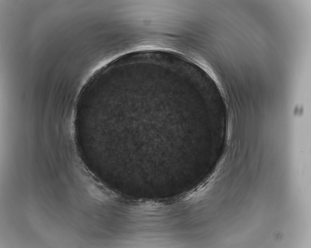 X0000091850387200709051151