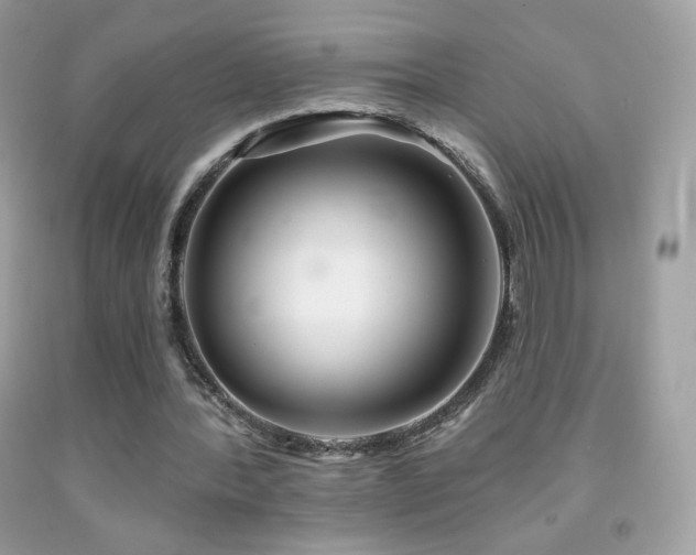 X0000091850388200709051151