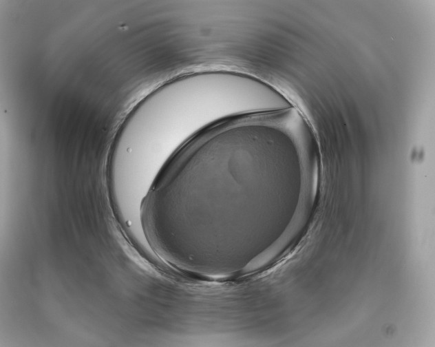 X0000091850389200709051151