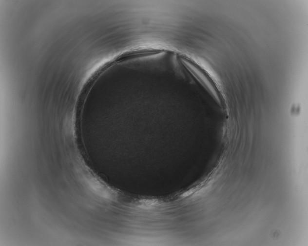 X0000091850391200709051151