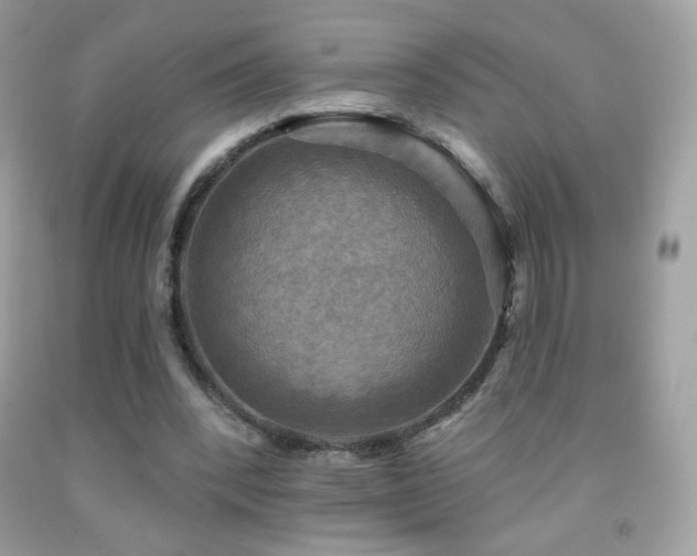 X0000091850392200709051151