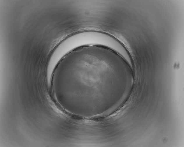 X0000091850393200709051151